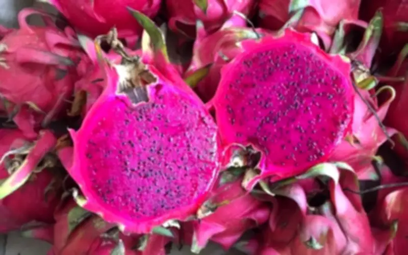 Mùng 1 đầu tháng nên ăn và kiêng gì để đón may mắn trọn vẹn?