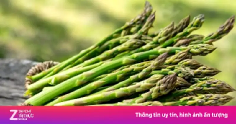 Măng Tây - 'Vua Rau' Việt Nam: Bổ Dưỡng Ngang Thuốc Đắt Tiền, Đặc Biệt Tốt Cho Phái Mạnh