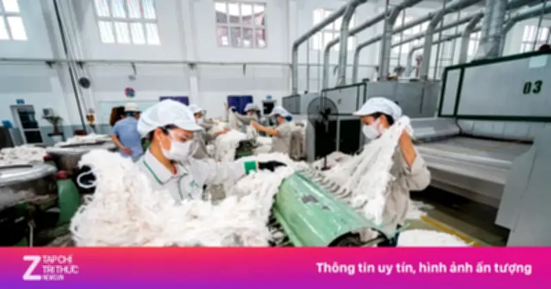 MSB thu giữ nhà máy sợi của 'ông lớn' nguyên phụ liệu may An Phước do vi phạm nợ