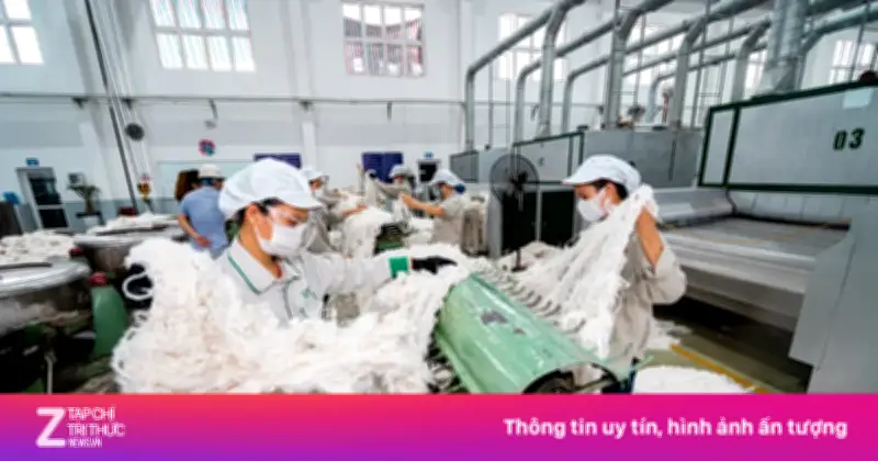 MSB Thu Giữ Nhà Máy Sợi Dệt Của An Phước Tại Thanh Hóa Do Vi Phạm Nghĩa Vụ Trả Nợ