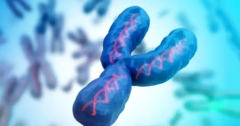 Mất Nhiễm Sắc Thể Y Ở Nam Giới: Nguy Cơ Bệnh Tim, Ung Thư Và Hy Vọng Mới