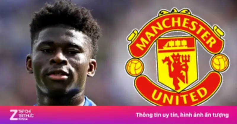 MU Săn Đón Baleba Sau Khi Brighton Hạ Giá Tiền Vệ Cameroon