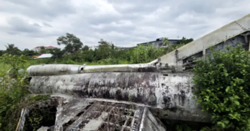 Máy bay MiG-21 bị bỏ quên ở Cà Mau: Thông tin mới về nguồn gốc và số phận