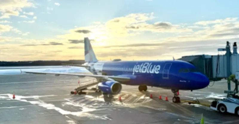 Máy bay quay đầu khẩn cấp sau va chạm với chó sói trên đường băng