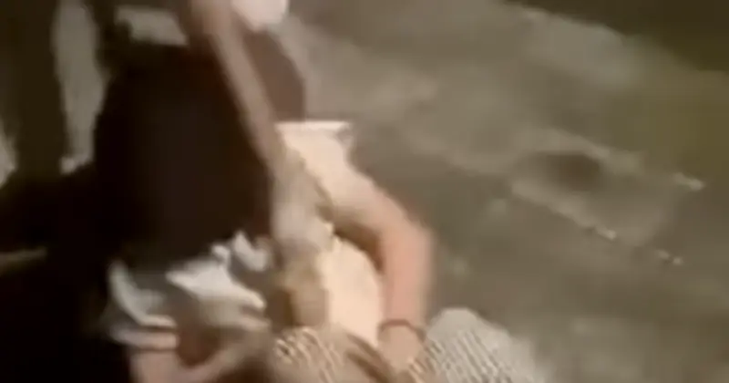 Nữ sinh lớp 7 Đà Nẵng bị đánh hội đồng, lột áo giữa đường gây phẫn nộ