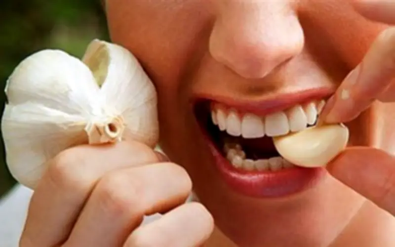 Ăn tỏi sống tăng cường miễn dịch và sức khỏe tim mạch: Lợi ích và lưu ý