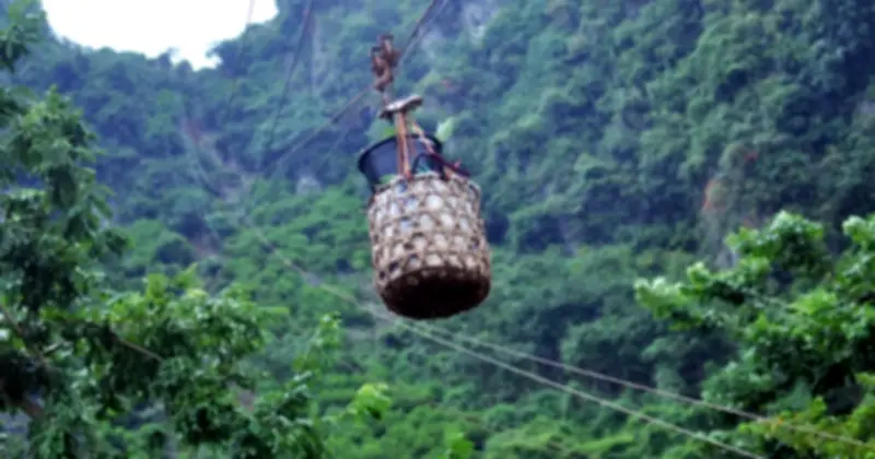 Na Chi Lăng - 'Vua Các Loại Na' Và Câu Chuyện Thành Công Từ Núi Đá Lạng Sơn