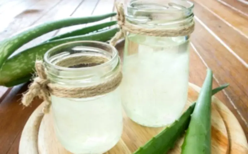 Nước Ép Nha Đam: Lợi Ích Sức Khỏe Và Những Cảnh Báo Quan Trọng