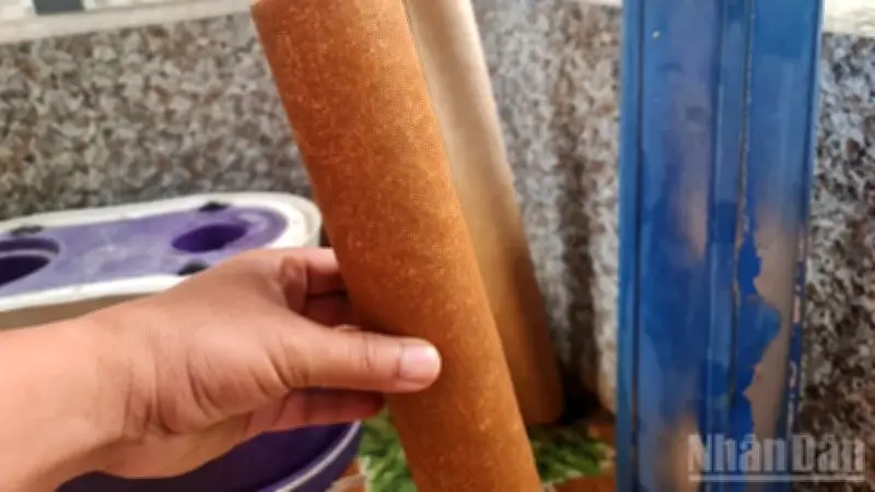 Nước sinh hoạt kém chất lượng tại Đồng Sơn: Người dân bức xúc, chính quyền vào cuộc