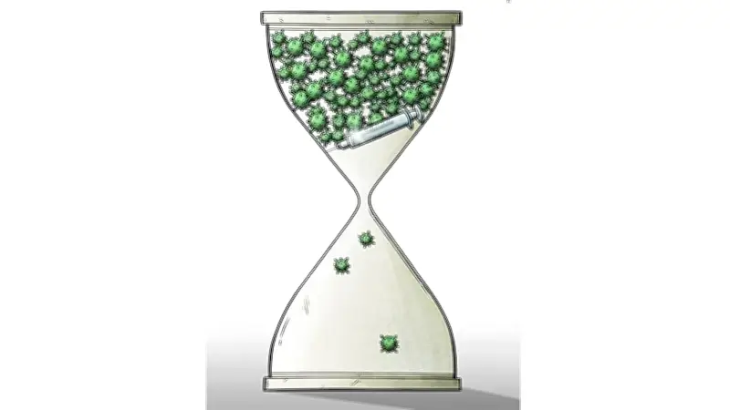 New Zealand Đối Mặt Làn Sóng Covid-19 Thứ 9: Biến Thể Omicron Vẫn Lưu Hành