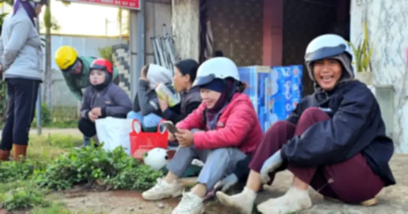 Ngã Ba Cây Gòn: 'Chợ Lao Động' Đặc Biệt Chỉ Họp Mùa Hái Tiêu Ở Đắk Lắk