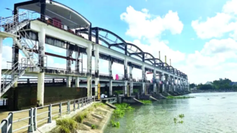 Đồng Bằng Sông Cửu Long Đối Mặt Với Khủng Hoảng Nguồn Nước: Thách Thức Và Giải Pháp