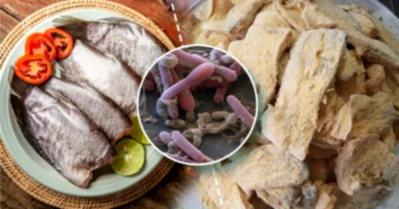 Ngộ độc botulinum từ cá ủ chua: 5 người nhập viện, thuốc giải độc khẩn cấp từ Thụy Sĩ