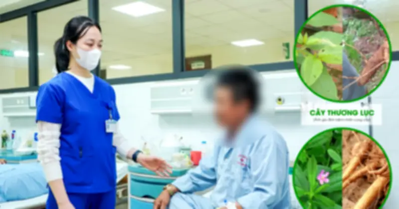 Ngộ độc củ thương lục giống sâm đất ở Phú Thọ, bác sĩ cảnh báo nguy hiểm