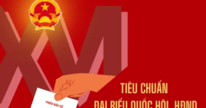 Ứng cử đại biểu Quốc hội, HĐND cần đáp ứng những tiêu chuẩn và điều kiện gì?