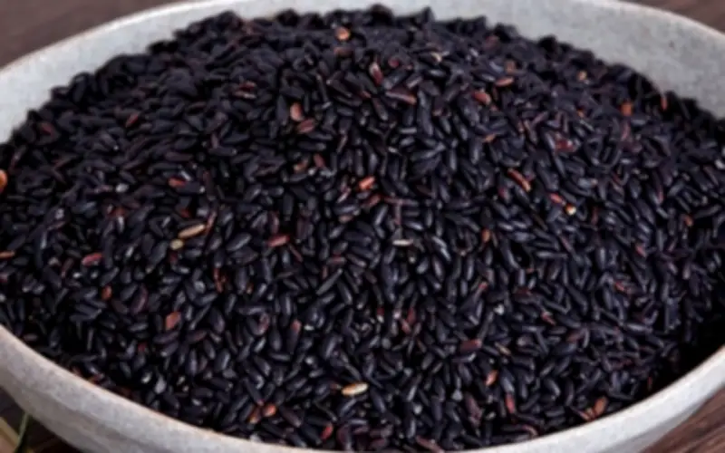 Đừng coi thường gạo lứt đen: Lợi ích sức khỏe bất ngờ từ loại ngũ cốc quý