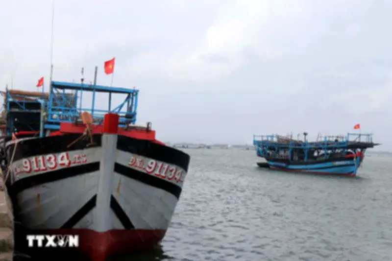 Ngư dân Đà Nẵng đối mặt khó khăn khi giá dầu tăng cao