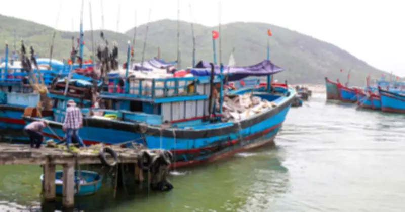 Ngư dân Quảng Ngãi buộc phải cho tàu cá nằm bờ vì giá nhiên liệu tăng cao