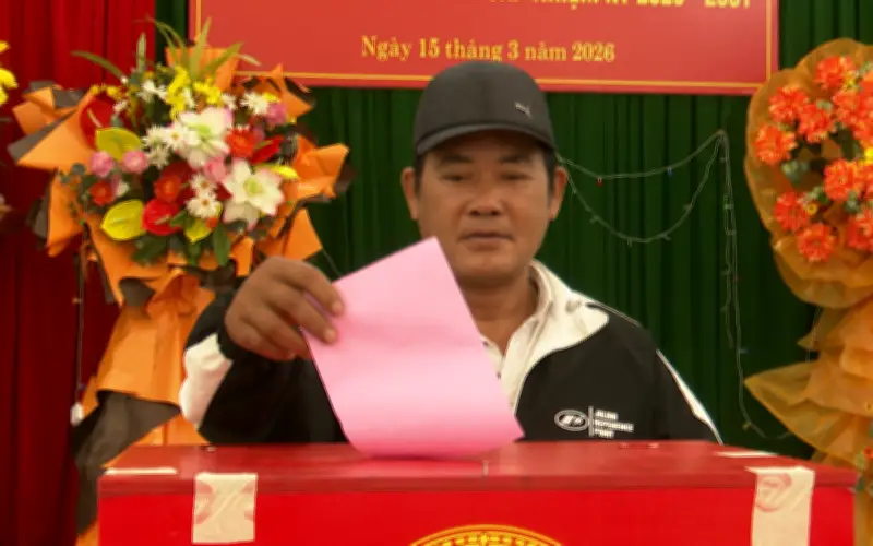 Ngư dân Quảng Trị chủ động về đất liền, cụ ông hơn 100 tuổi tham gia bầu cử