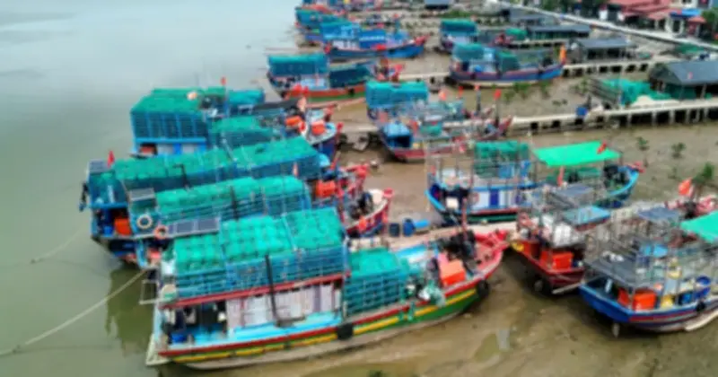 Ngư dân Thanh Hóa đối mặt thua lỗ nặng vì giá dầu tăng cao