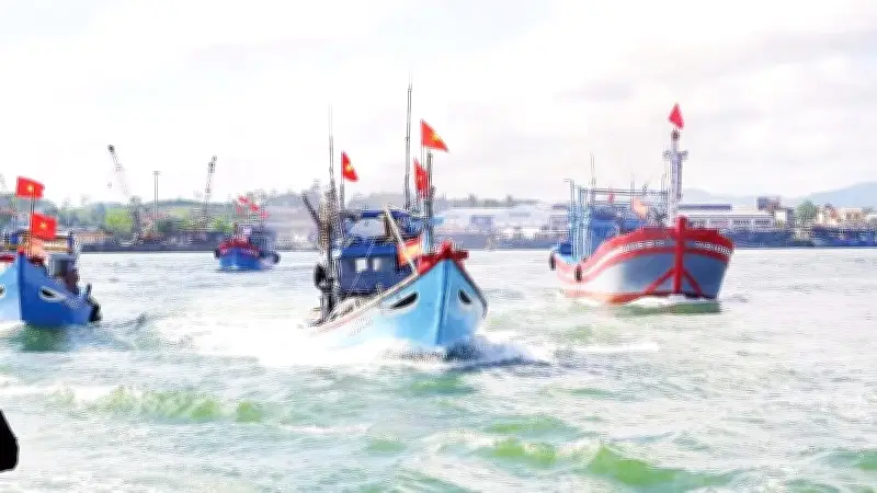 Ngư dân vươn khơi đầu xuân, quyết tâm gỡ 'thẻ vàng' IUU trước đợt thanh tra EC