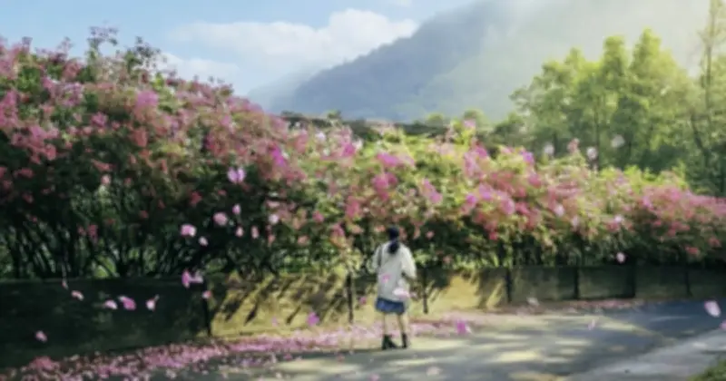 Đường hoa giấy rực rỡ tại TP.HCM thu hút giới trẻ check-in mùa nở rộ