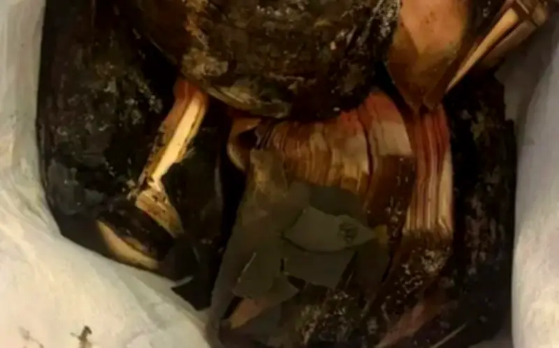 Ông lão mang 14 tỷ đồng bị cháy, ngân hàng đền bù số tiền bất ngờ