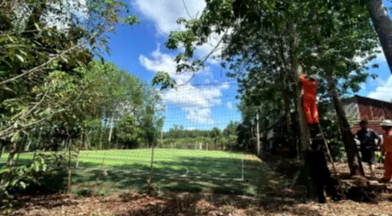 Đồng Nai điều tra hai vụ điện giật gây tử vong tại hai xã Tri An và Nghĩa Trung