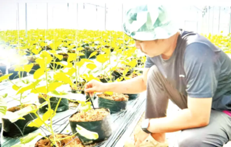 Đồng Nai: Từ Công Nghiệp Mạnh Vươn Lên Thành Trung Tâm Nông Nghiệp Xanh, Hữu Cơ