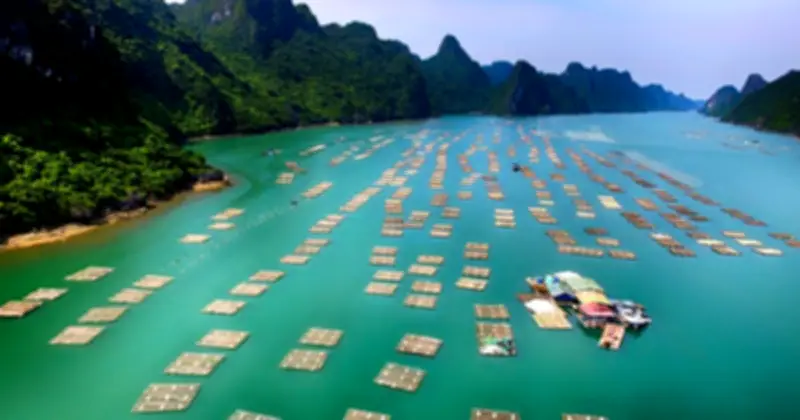 Đông Nam Á và vịnh Bái Tử Long: Những viên ngọc quý trong hành trình du lịch thế giới