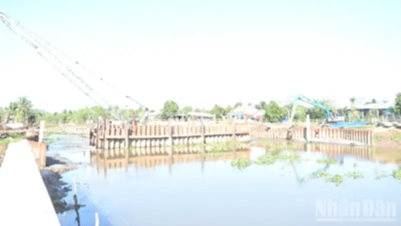 Đồng Tháp Chủ Động Ứng Phó Xâm Nhập Mặn, Bảo Vệ Sản Xuất Vụ Đông Xuân