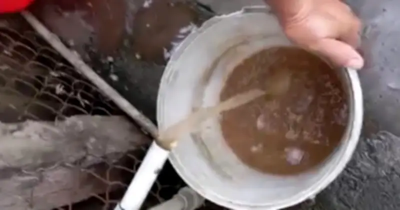 Đồng Tháp: Làm rõ nguyên nhân nước sinh hoạt đục ngầu, đề ra giải pháp khắc phục