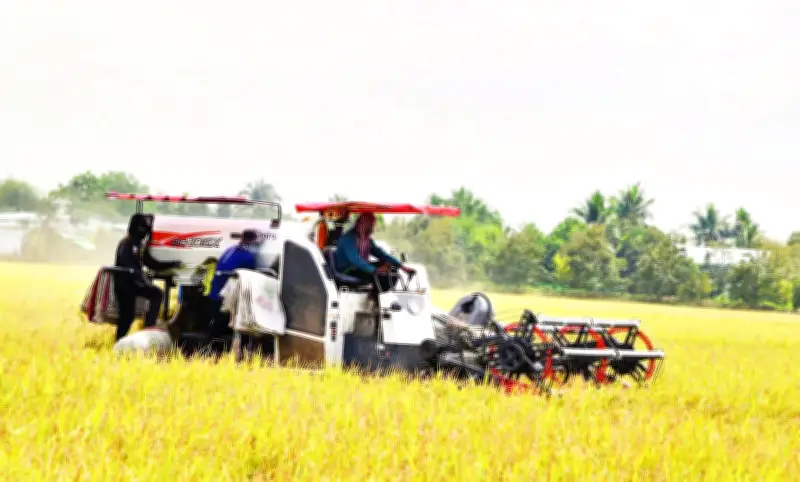 Đồng Tháp tiên phong phát triển nông nghiệp xanh, bền vững tại Đồng bằng sông Cửu Long