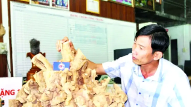 Ông Trần Bá Ninh Biến Xáo Tam Phân Thành Cây Trồng Hàng Hóa, Phát Triển 21 Sản Phẩm