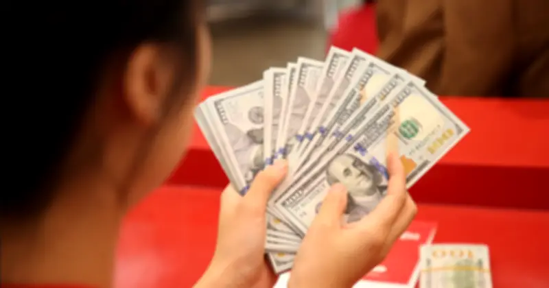 Đồng USD tăng mạnh trong nước và quốc tế, tỷ giá trung tâm lên 25.052 đồng