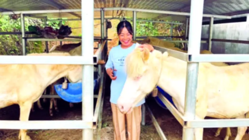 Ngựa Bạch Lạng Sơn: Hướng Đi Mới Giúp Nông Dân Thoát Nghèo Bền Vững