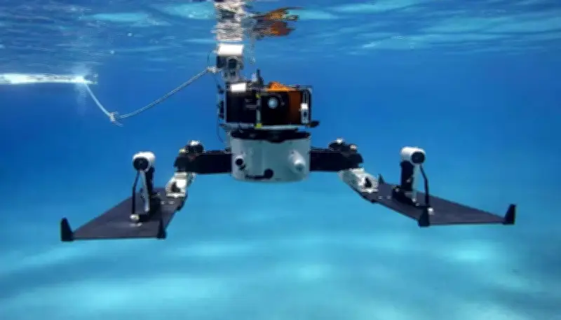 Nga Phát Triển Robot Dưới Nước, Mở Khóa Bí Ẩn Vùng Bắc Cực