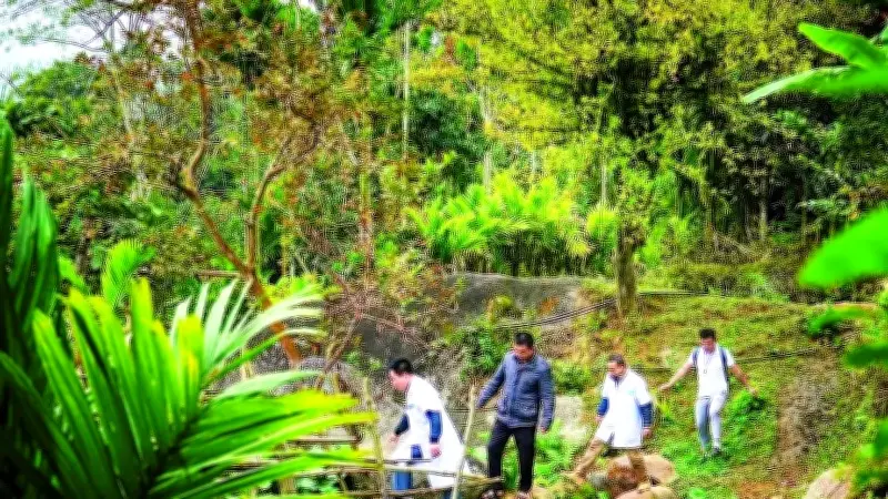 Nghệ An Sắp Xếp Lại Mạng Lưới Trạm Y Tế Theo Mô Hình Tinh Gọn, Hiệu Quả