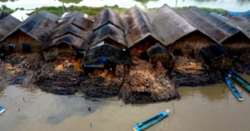 Nghề hầm than trăm năm ở Cà Mau: 'Đọc khói' giữa rừng ngập mặn