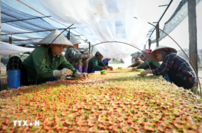 Nghị quyết 68-NQ/TW: Động lực để Việt Nam bứt phá tới ngưỡng thu nhập cao