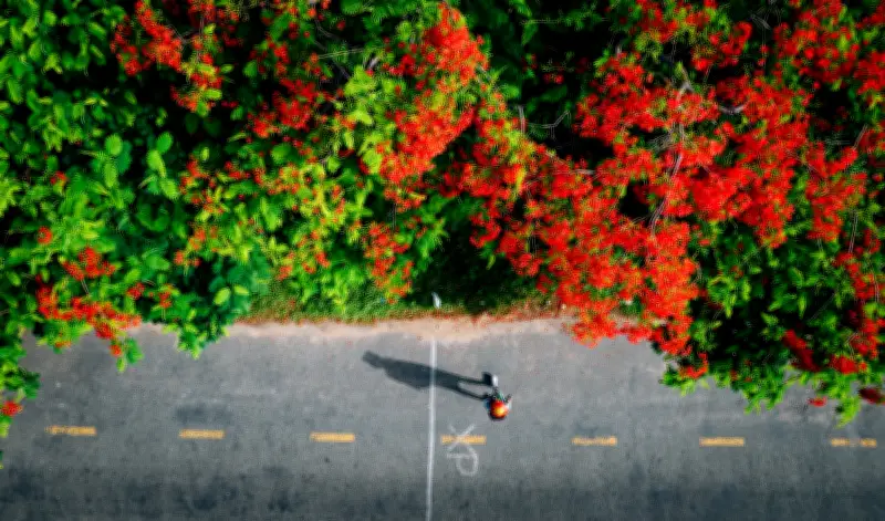 Nghi lễ 304 khách Việt ưu tiên xuất ngoại gắn với trải nghiệm lạ thú vị