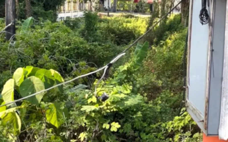 Nghi phạm trộm cịt điện tử tử vong do điện giật tại Thái Lan