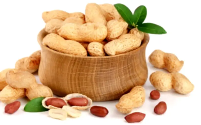 Nghiên cứu lớn: Ăn lạc giảm tử vong 21%, nhưng cảnh báo nguy cơ độc tố nấm mốc
