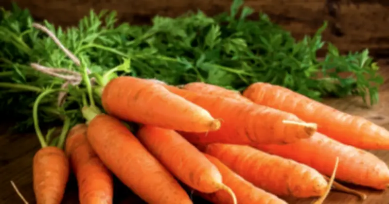 Nghiên cứu mới: Ăn cà rốt hàng tuần giảm 20% nguy cơ ung thư