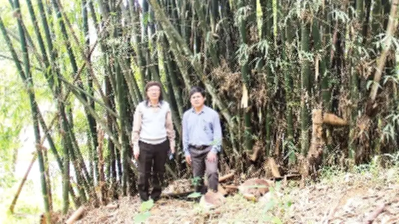 Nghiên cứu mới xây dựng cơ sở dữ liệu khoa học về tre trúc Tây Nguyên