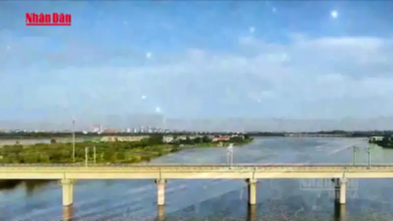 Nghiên cứu phương án làm đường sắt Bến Thành - Cần Giờ đi ngầm qua khu Nhà Rồng - Khánh Hội