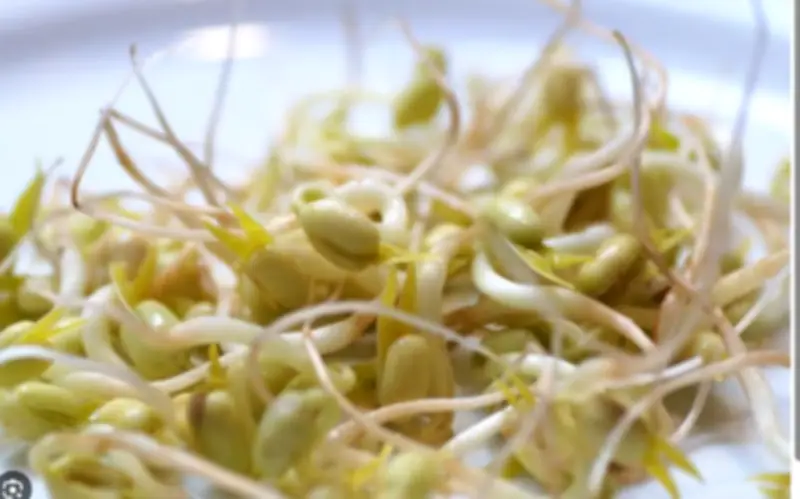 Người bị suy thận có ăn được giá đỗ không? Hướng dẫn sử dụng an toàn