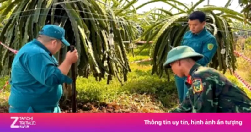 Người dân Lâm Đồng đào trúng đạn pháo 105 mm sót lại sau chiến tranh khi làm vườn