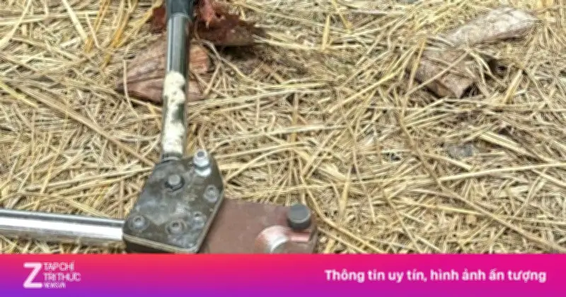 Người đàn ông Đồng Nai tử vong do điện giật khi dùng sào sắt tự chế