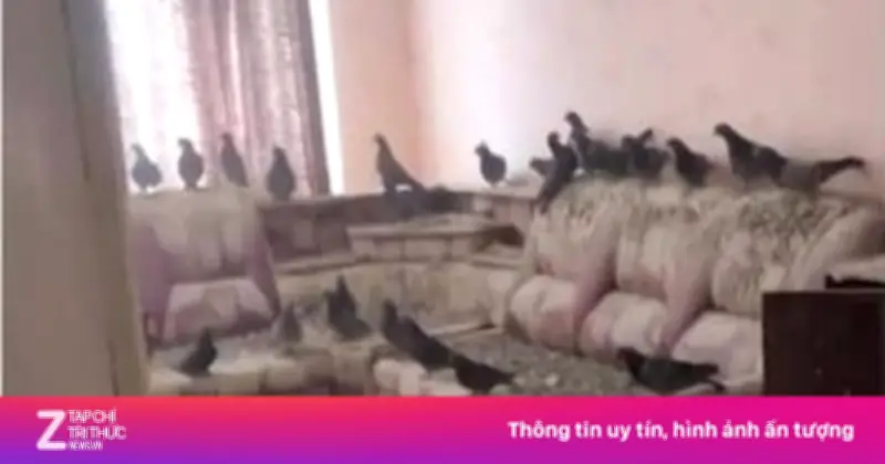 Người đàn ông Nga sốc nặng khi trở về nhà sau 3 năm, căn hộ biến thành 'tổ chim khổng lồ'